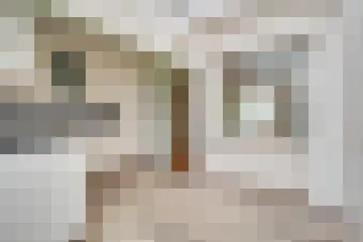 Julianalaan 37 Bergschenhoek thumbnail 15