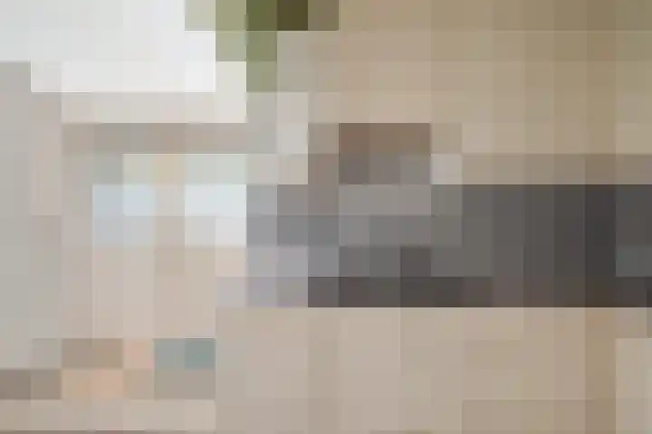 Julianalaan 37 Bergschenhoek thumbnail 16