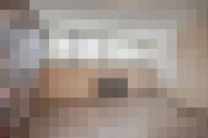Julianalaan 37 Bergschenhoek thumbnail 20