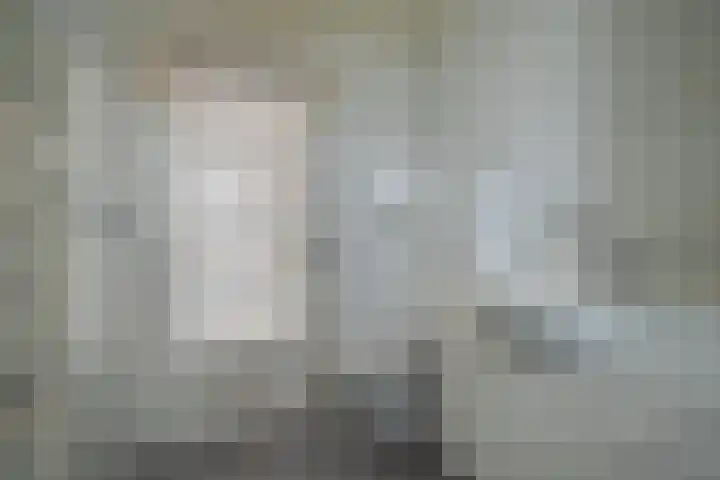 Julianalaan 37 Bergschenhoek thumbnail 24
