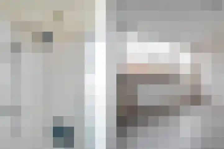 Julianalaan 37 Bergschenhoek thumbnail 25