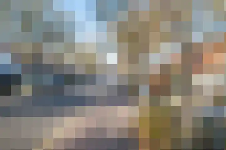 Julianalaan 37 Bergschenhoek thumbnail 36