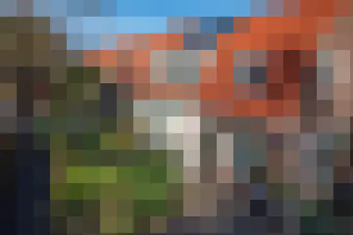 Julianalaan 37 Bergschenhoek thumbnail 6
