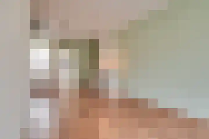 Julianalaan 37 Bergschenhoek thumbnail 8