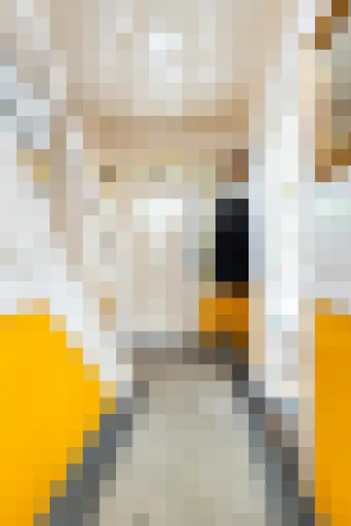 Julianalaan 37 Vaassen thumbnail 10