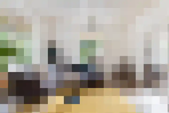 Julianalaan 37 Vaassen thumbnail 11
