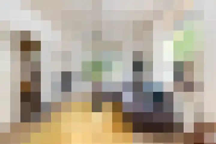 Julianalaan 37 Vaassen thumbnail 12