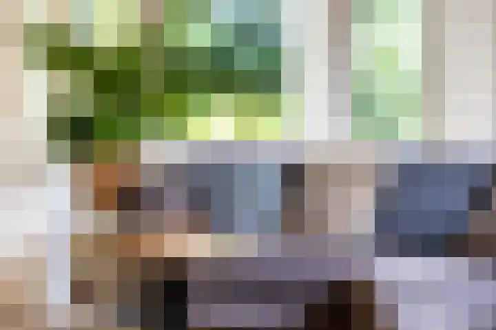 Julianalaan 37 Vaassen thumbnail 14