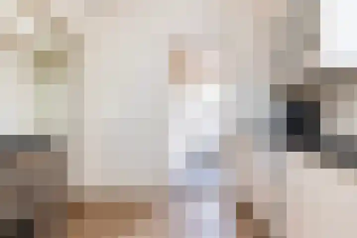 Julianalaan 37 Vaassen thumbnail 25