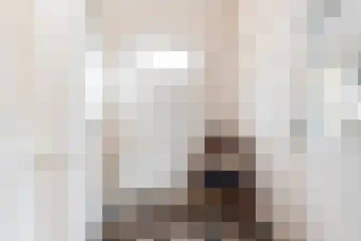 Julianalaan 37 Vaassen thumbnail 26