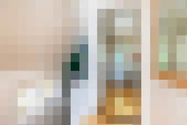Julianalaan 37 Vaassen thumbnail 28