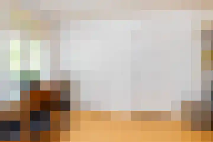 Julianalaan 37 Vaassen thumbnail 29