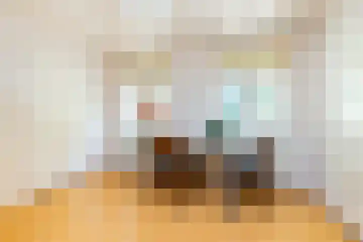 Julianalaan 37 Vaassen thumbnail 30