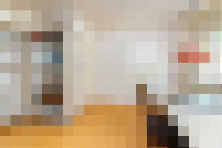 Julianalaan 37 Vaassen thumbnail 31