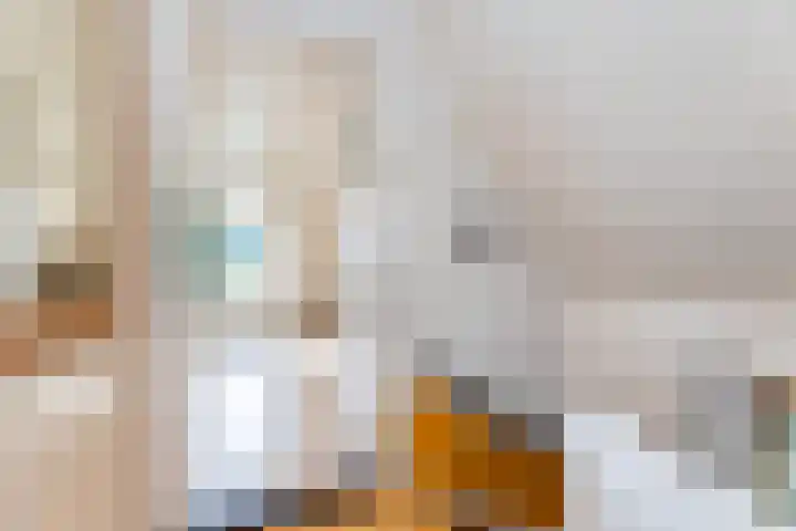 Julianalaan 37 Vaassen thumbnail 32