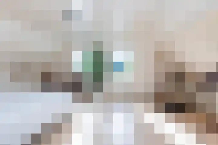 Julianalaan 37 Vaassen thumbnail 33