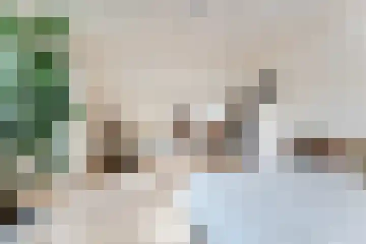 Julianalaan 37 Vaassen thumbnail 35