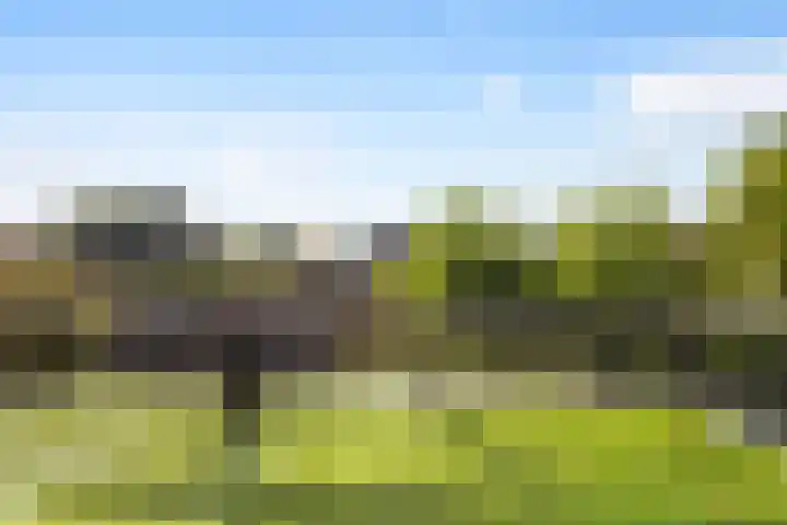 Julianalaan 37 Vaassen thumbnail 36