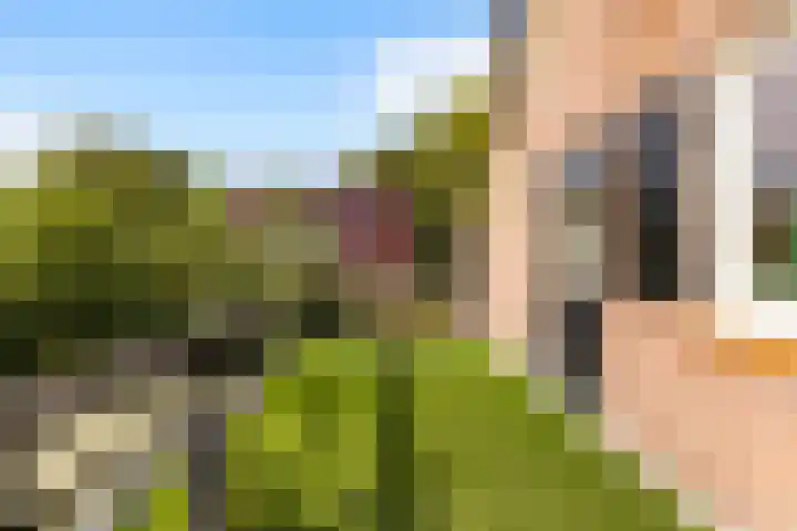 Julianalaan 37 Vaassen thumbnail 37