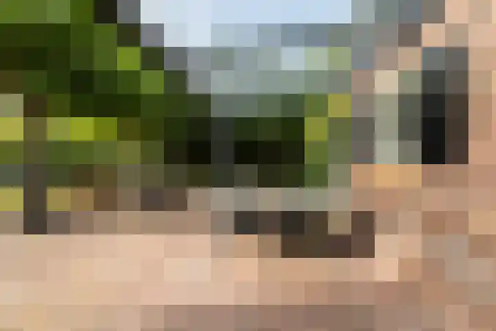 Julianalaan 37 Vaassen thumbnail 38