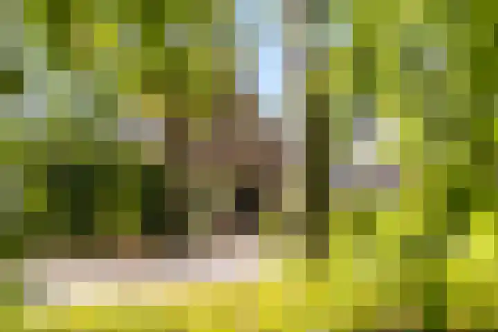 Julianalaan 37 Vaassen thumbnail 4