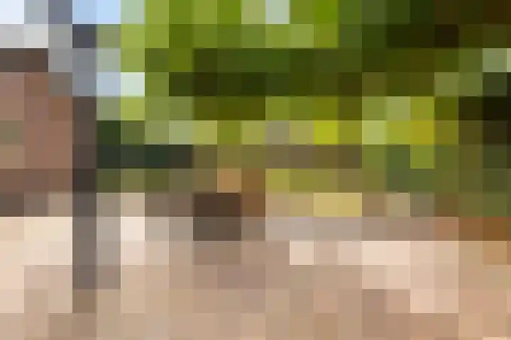 Julianalaan 37 Vaassen thumbnail 40
