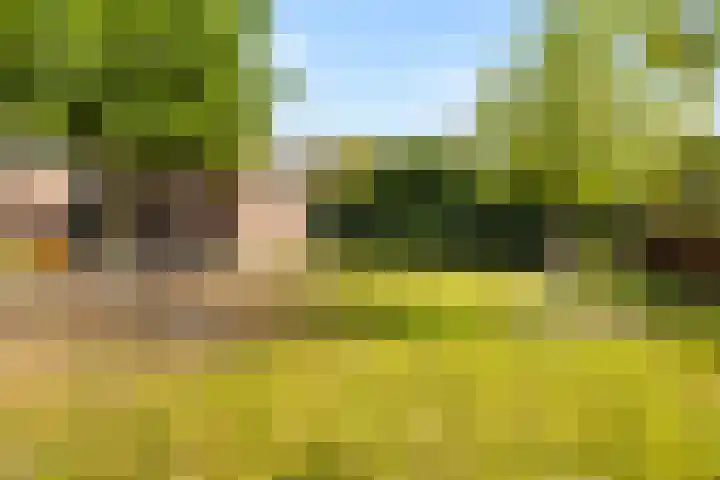 Julianalaan 37 Vaassen thumbnail 41