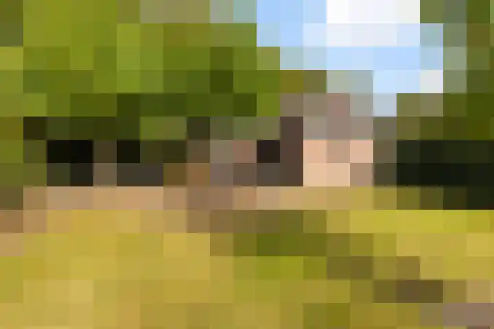 Julianalaan 37 Vaassen thumbnail 42