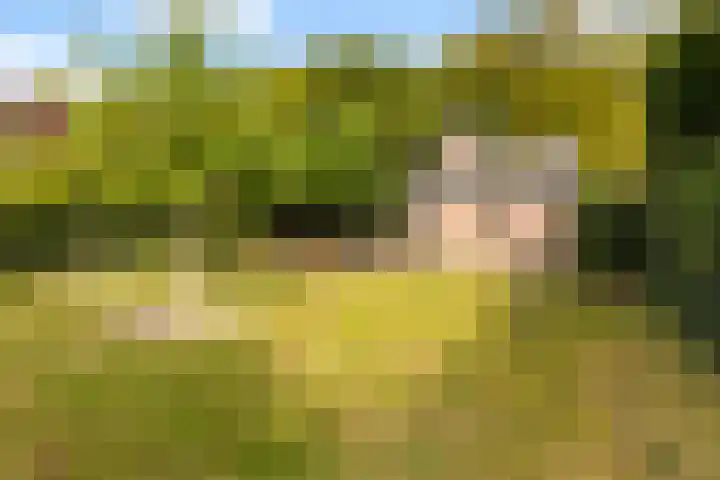 Julianalaan 37 Vaassen thumbnail 43