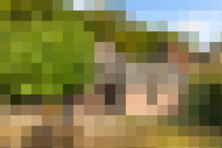 Julianalaan 37 Vaassen thumbnail 44