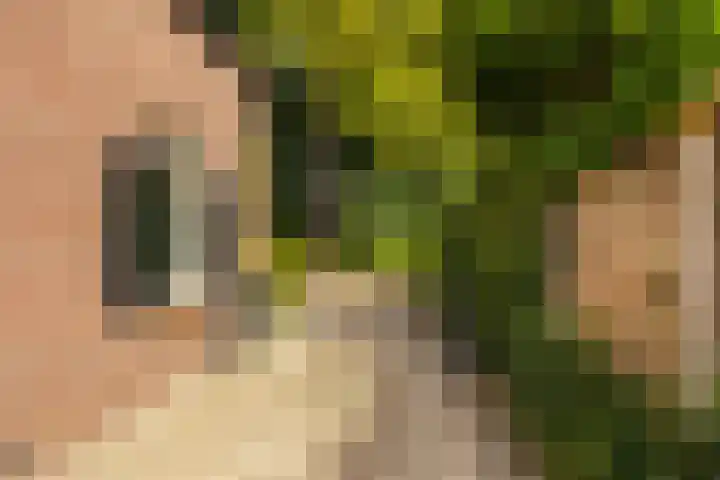 Julianalaan 37 Vaassen thumbnail 45