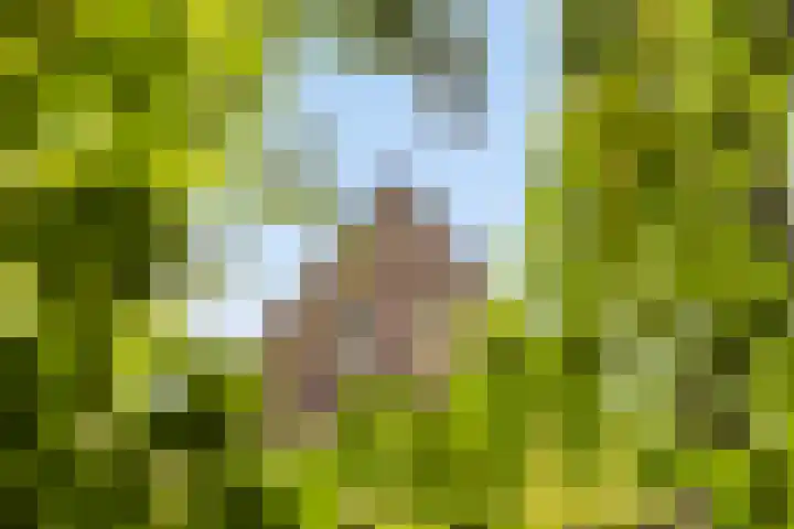 Julianalaan 37 Vaassen thumbnail 46