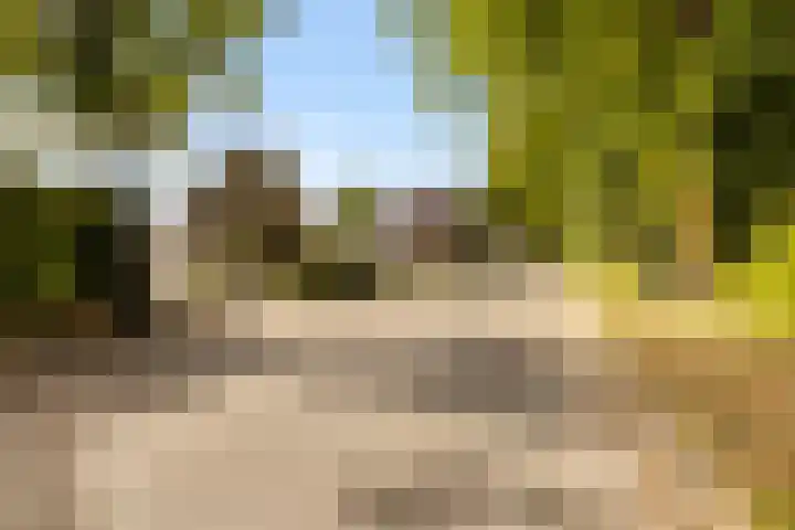 Julianalaan 37 Vaassen thumbnail 48