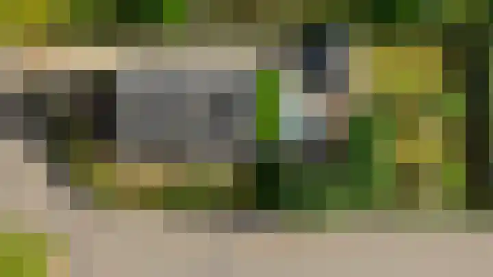 Julianalaan 37 Vaassen thumbnail 49