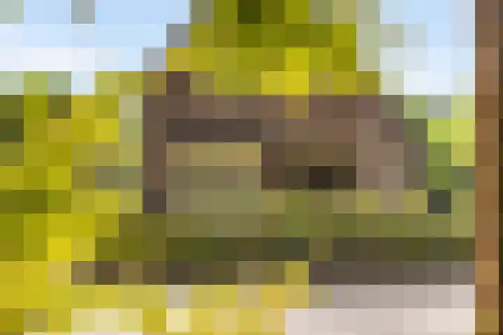 Julianalaan 37 Vaassen thumbnail 5