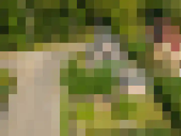 Julianalaan 37 Vaassen thumbnail 50