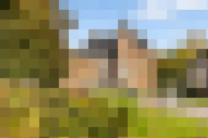 Julianalaan 37 Vaassen thumbnail 51