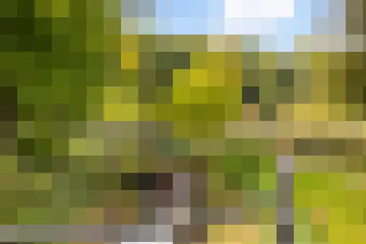 Julianalaan 37 Vaassen thumbnail 52