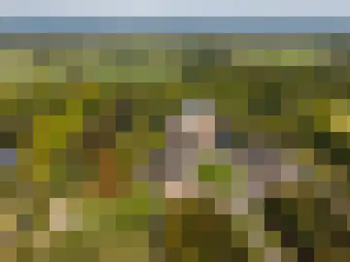 Julianalaan 37 Vaassen thumbnail 53