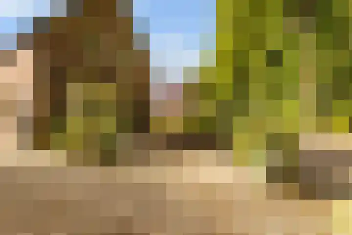 Julianalaan 37 Vaassen thumbnail 6