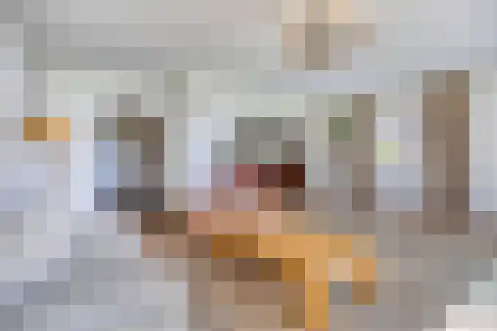 Julianalaan 38 Kaag thumbnail 10