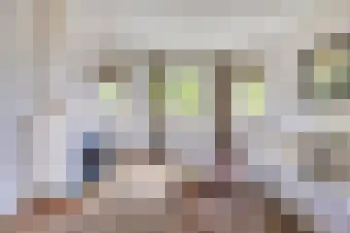 Julianalaan 38 Kaag thumbnail 14