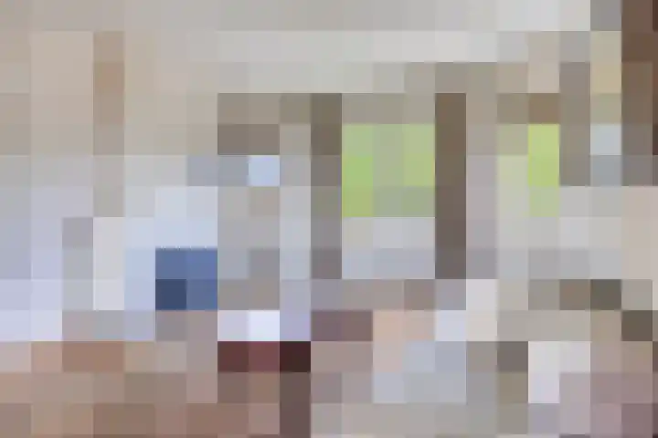 Julianalaan 38 Kaag thumbnail 15