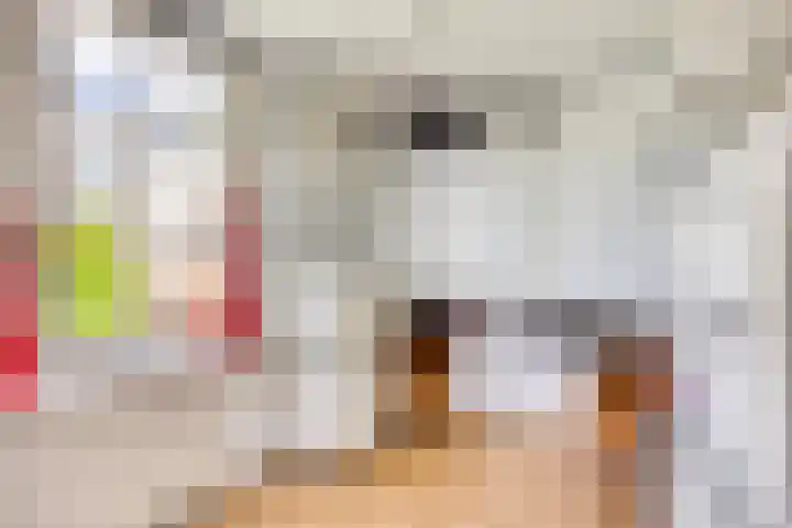 Julianalaan 38 Kaag thumbnail 31