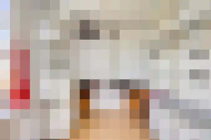 Julianalaan 38 Kaag thumbnail 32