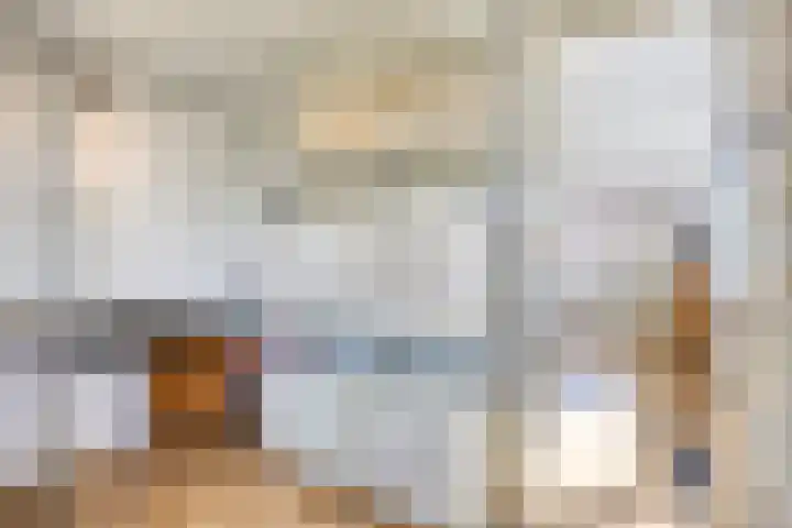 Julianalaan 38 Kaag thumbnail 33