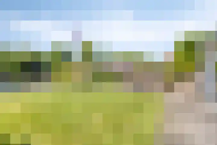 Julianalaan 38 Kaag thumbnail 35