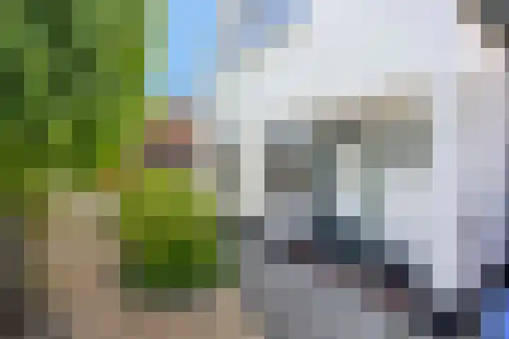 Julianalaan 38 Kaag thumbnail 5