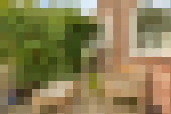 Julianalaan 39 Bergschenhoek thumbnail 10