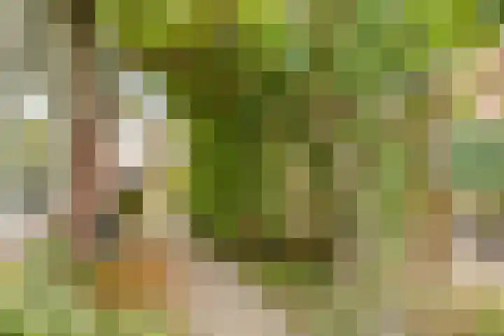 Julianalaan 39 Bergschenhoek thumbnail 11